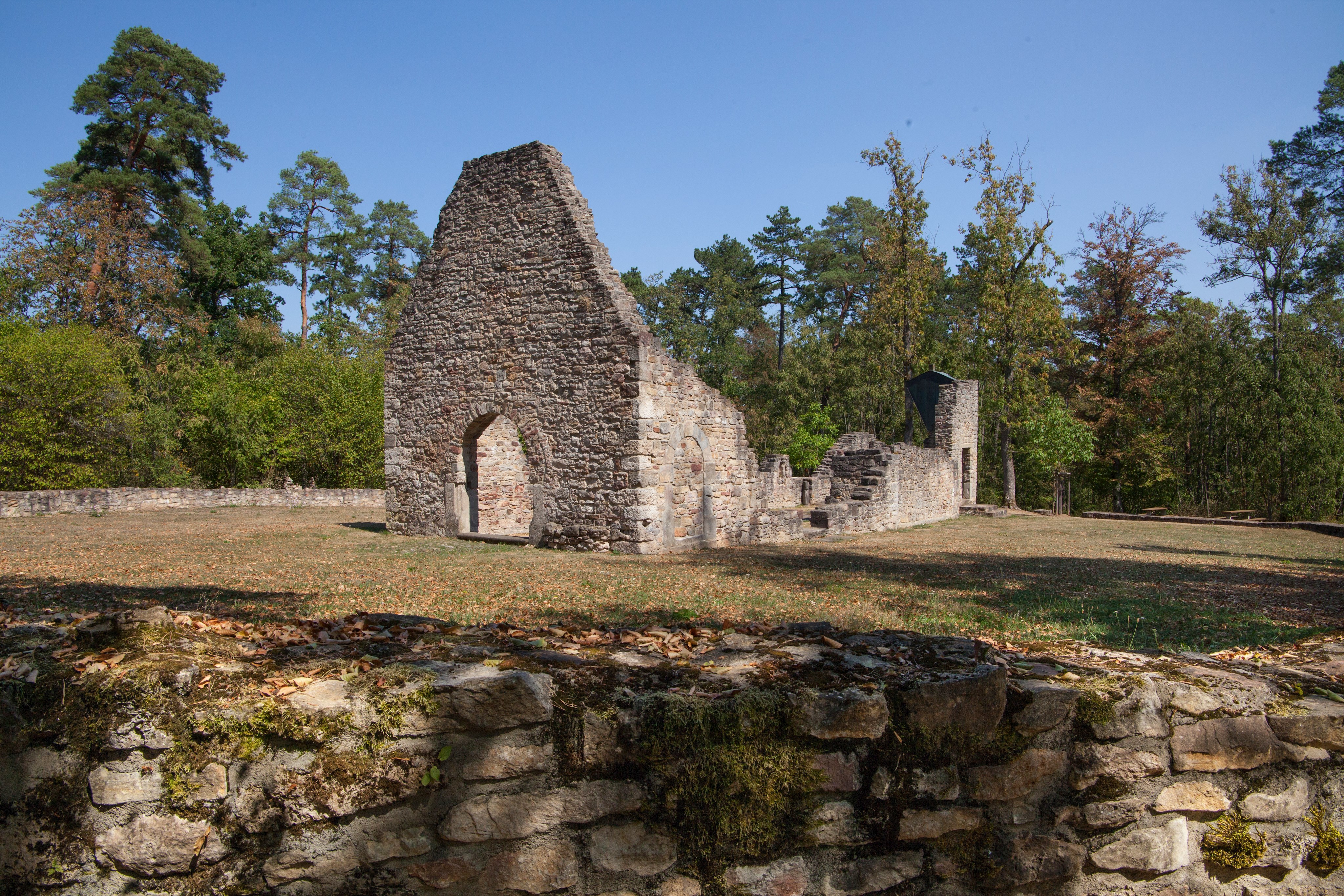 Wanderweg_RuineMichelsberg2018_MG_6697┬®GrafikDesignSchikora.jpg