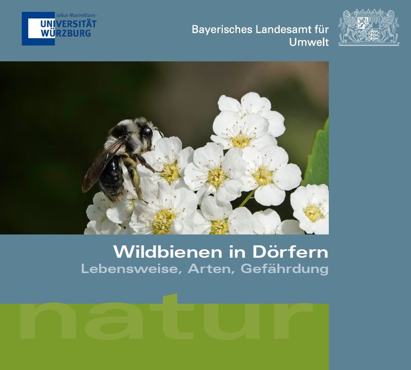 Neuigkeiten Wildbienendörfer