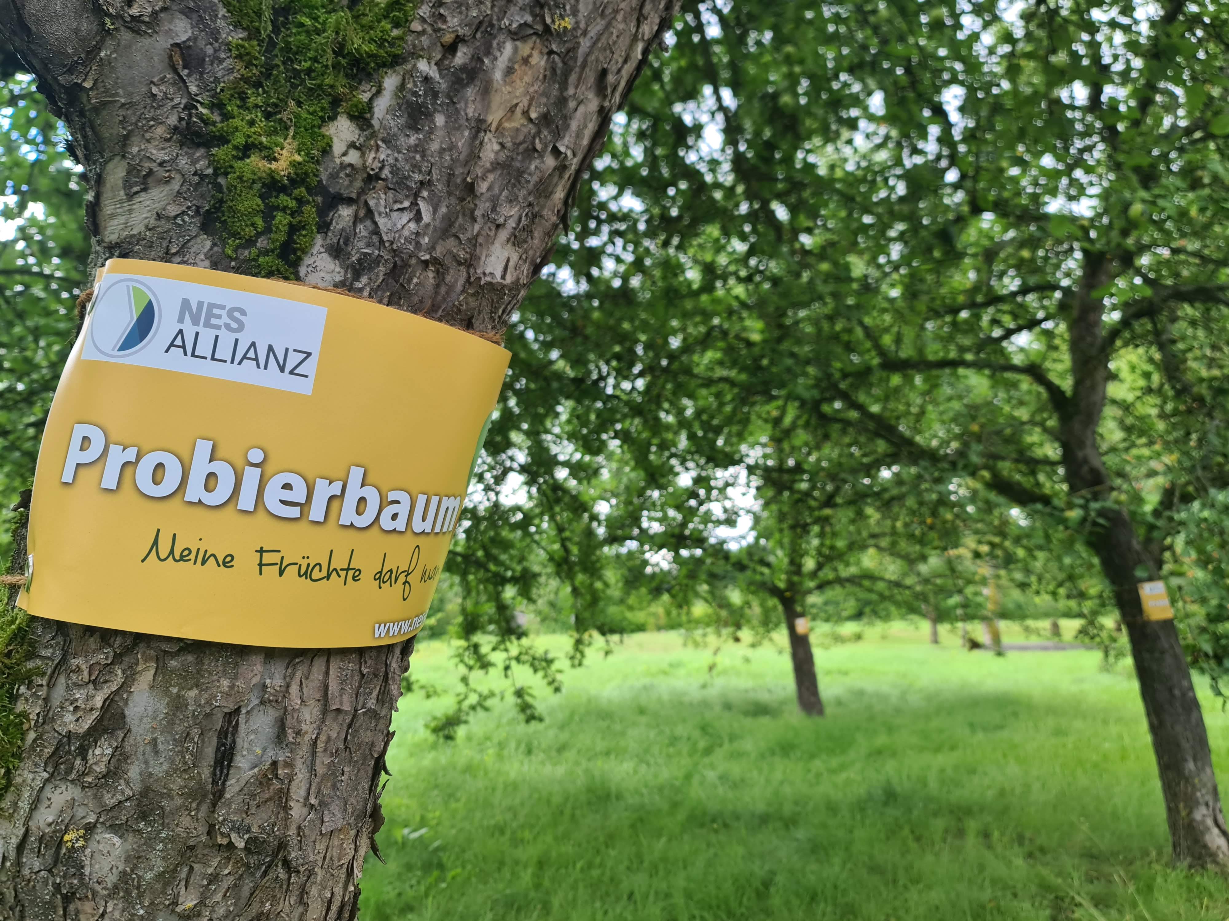 Leider haben wir keinen Alternativtext zu diesem Bild, aber wir arbeiten daran.