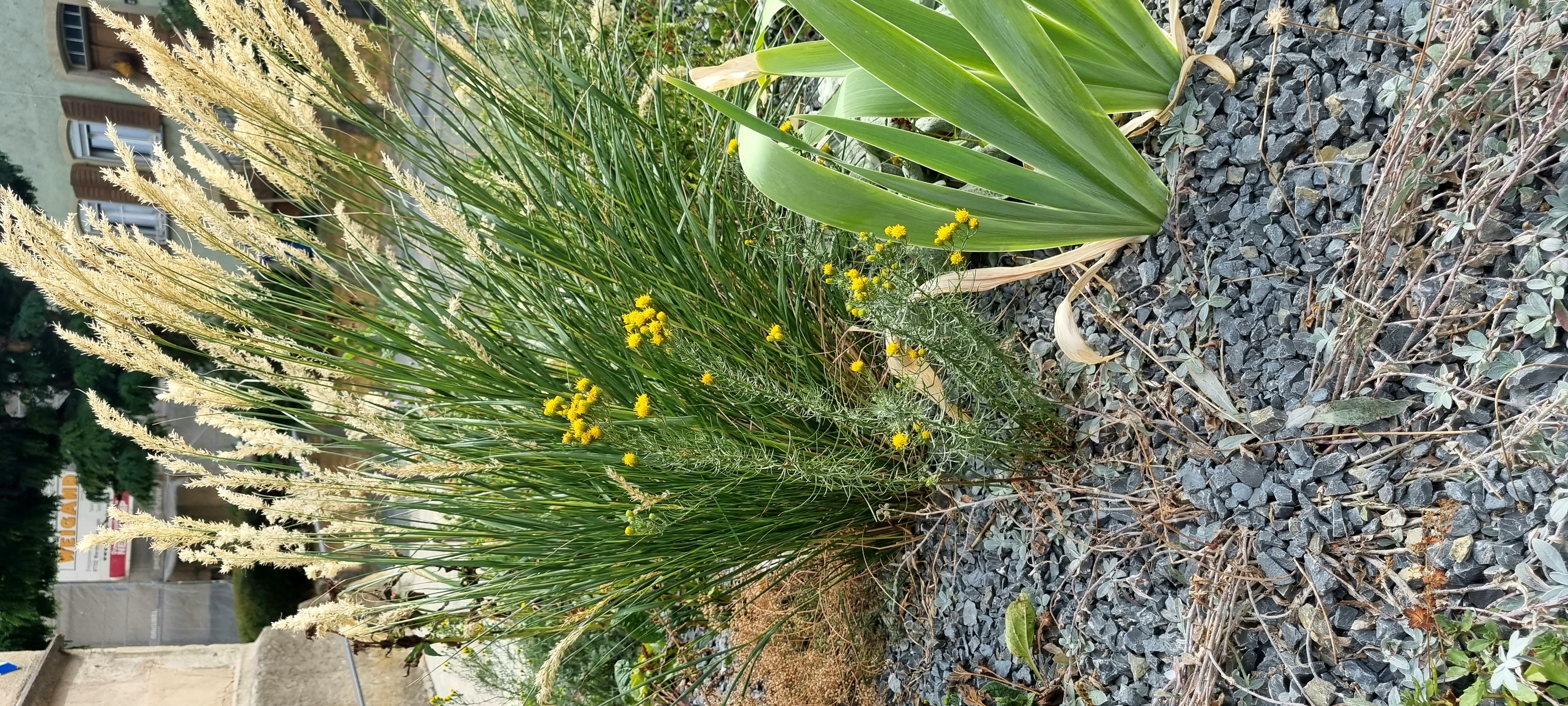20220831_153807.jpg