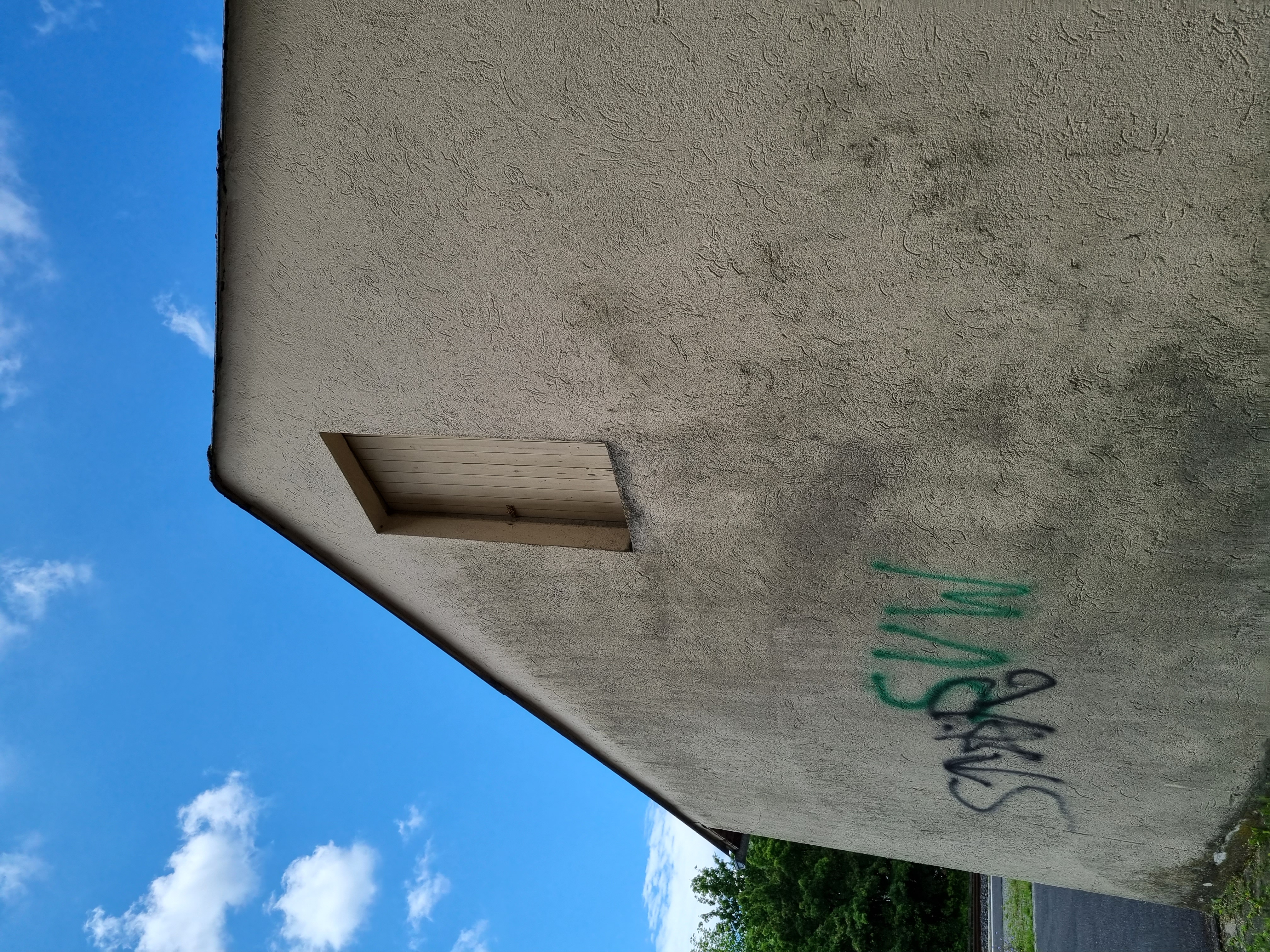 20210707_140854.jpg