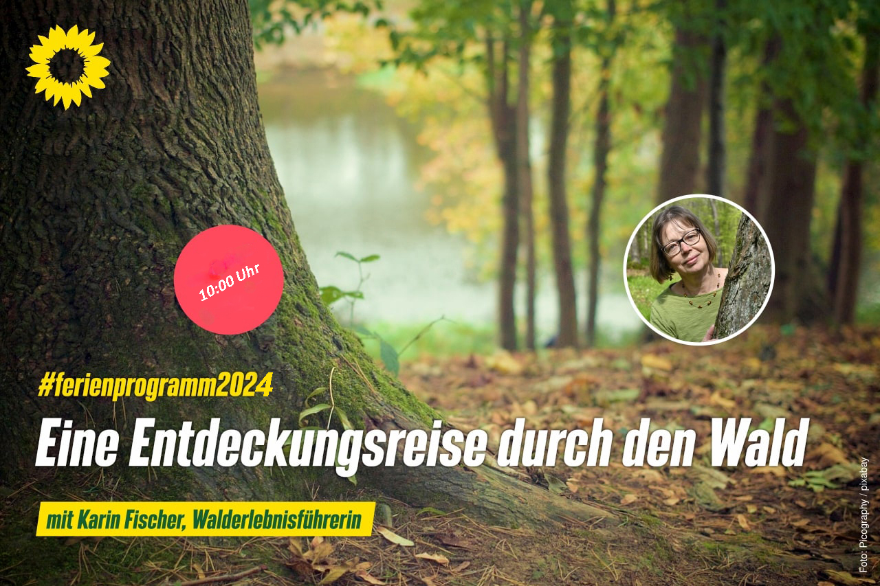 Entdeckungsreise durch den Wald