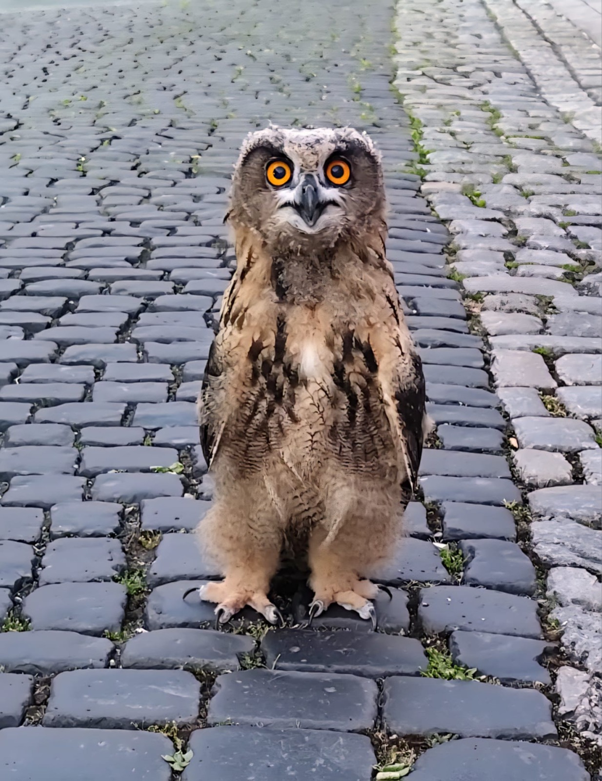 Leider haben wir keinen Alternativtext zu diesem Bild, aber wir arbeiten daran.