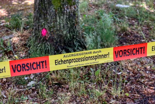 Leider haben wir keinen Alternativtext zu diesem Bild, aber wir arbeiten daran.